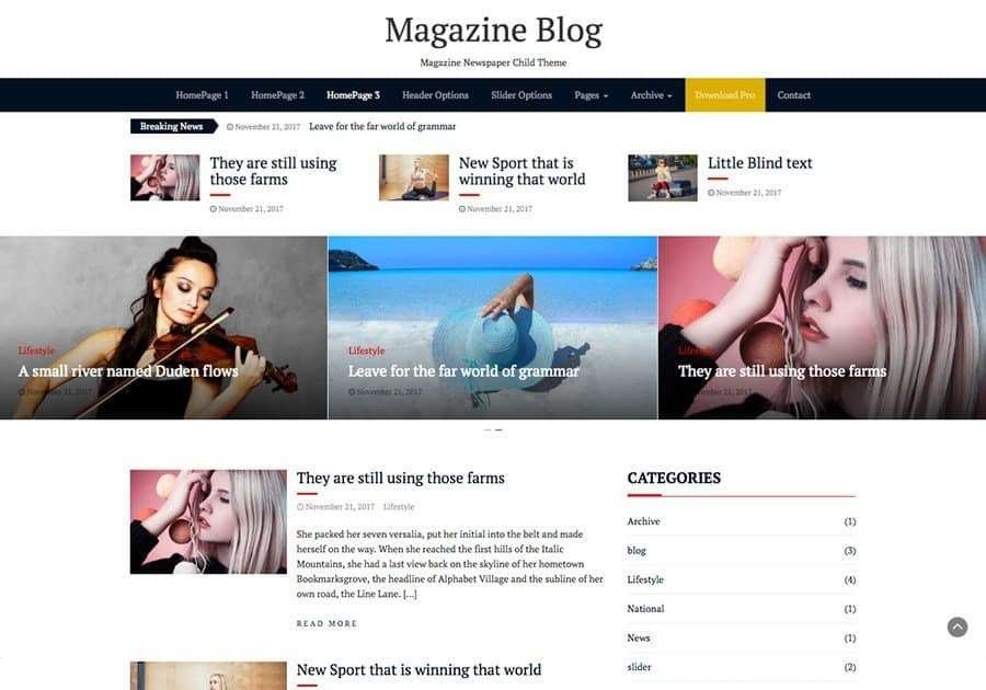 8 Best Free WordPress Blog Themes