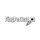 Explore the Ultimate Gaming Experience with PingPerfect