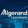 Algorand Launchpads