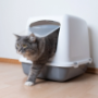 Automatic Cat Litter Boxes