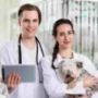 Online Pet Pharmacy