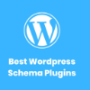 WordPress Schema Plugins