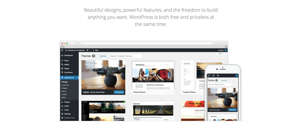 Self hosted WordPress site