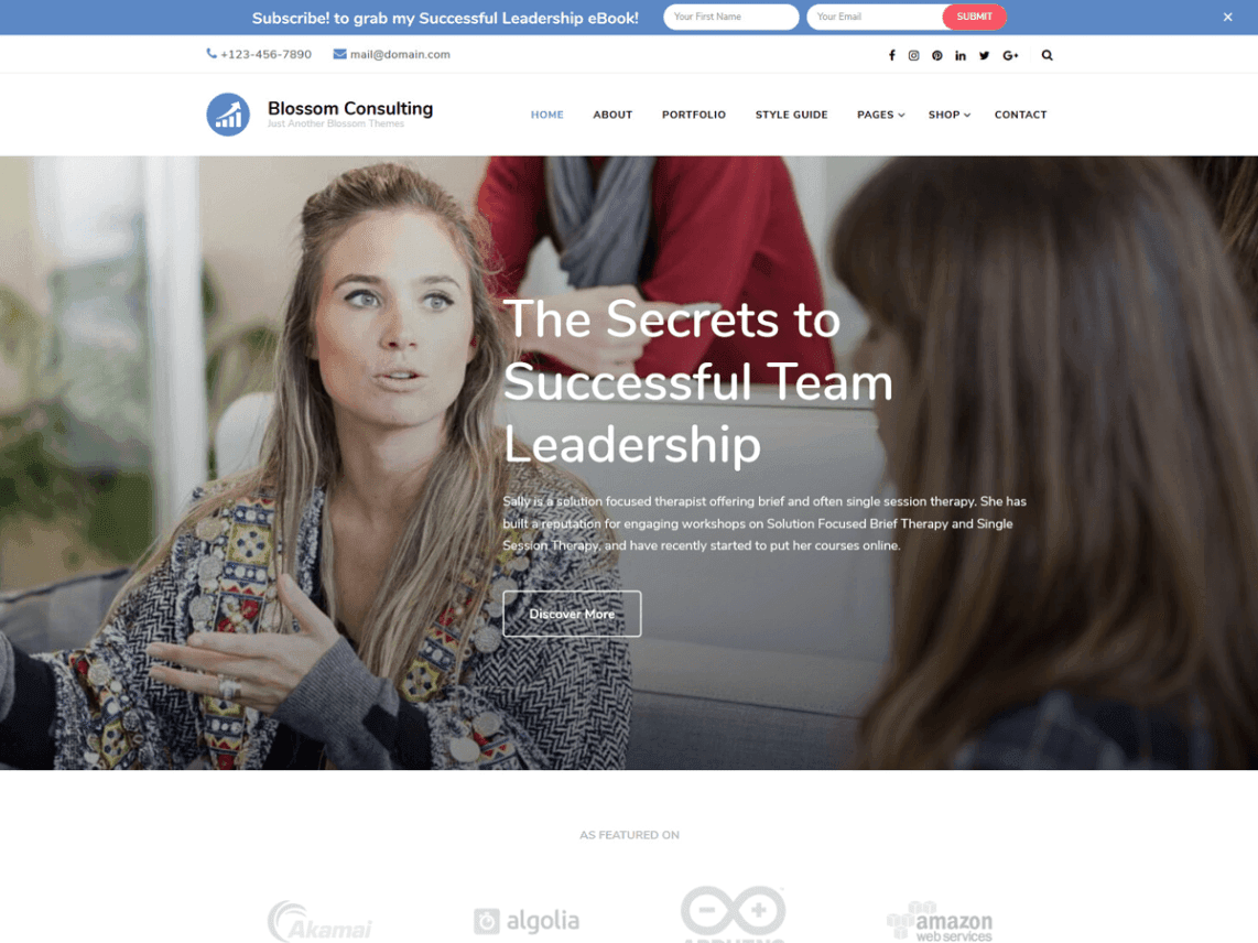 Best Free WordPress Ecommerce Blog Themes