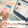 BuddyPress WordPress Themes
