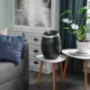 Cool Mist Humidifiers
