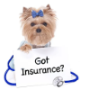 Dog Insurance Companies