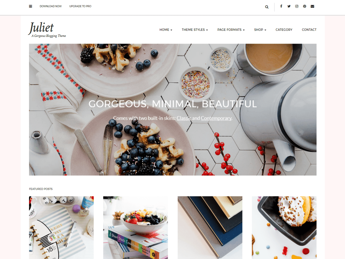 Best Free Feminine WordPress Themes