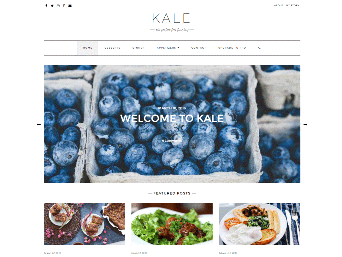 10 best free wordpress lifestyle blog themes