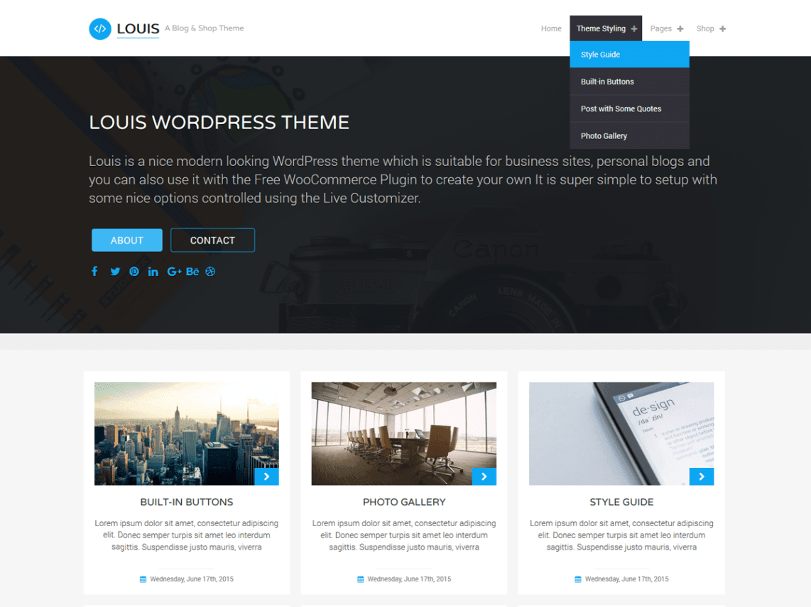 Best Free WordPress Ecommerce Blog Themes