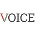 Voice - Instantly Customize Website With Advanced Theme Options Panel