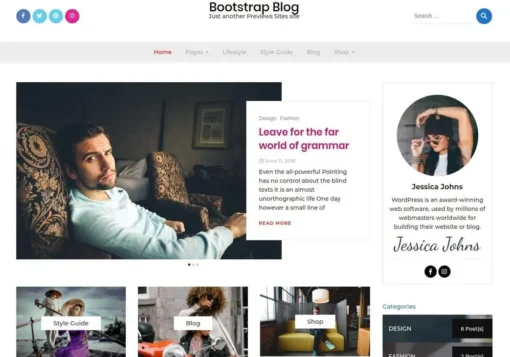 Blog WordPress theme