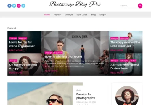 Blog WordPress theme Pro