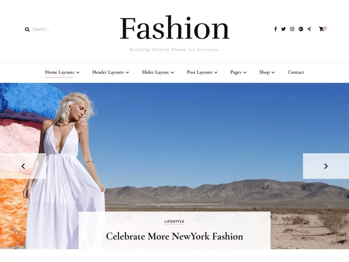 Blossom Fashion is one of the best WordPress fashion themes