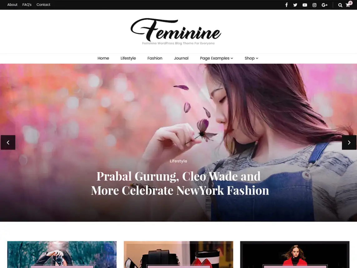 Blossom Feminine is one of the best WordPress themes for magazines
