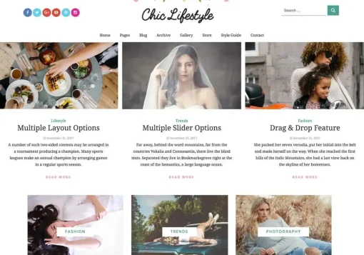 Chic Lifestyle is one of the best WordPress fashion themes