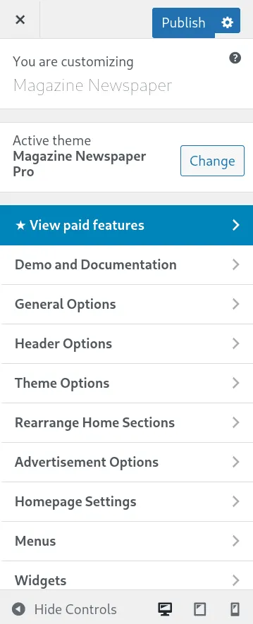 How to Choose WordPress theme: Customization Panel