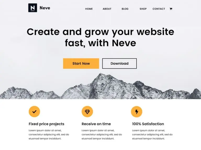 Neve is one of the best WordPress themes with newsletter support