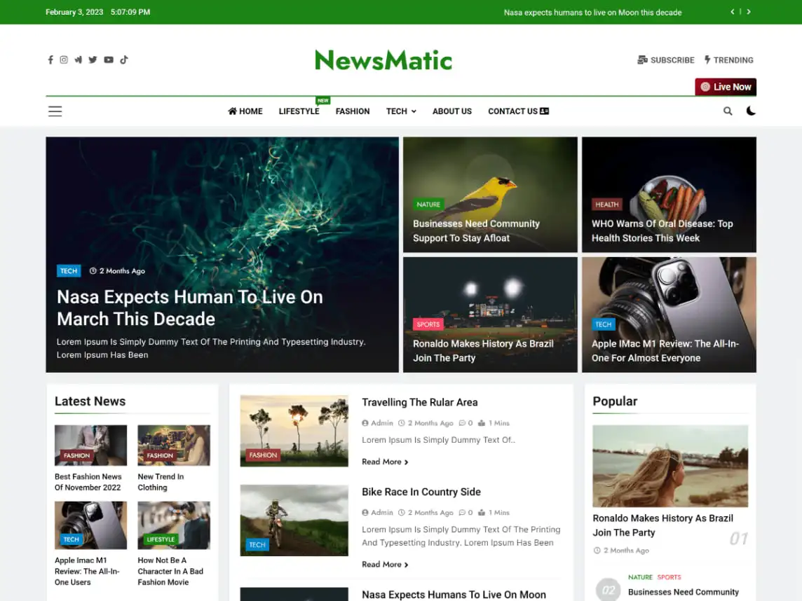 Newsmatic is one of the best WordPress themes with newsletter capability